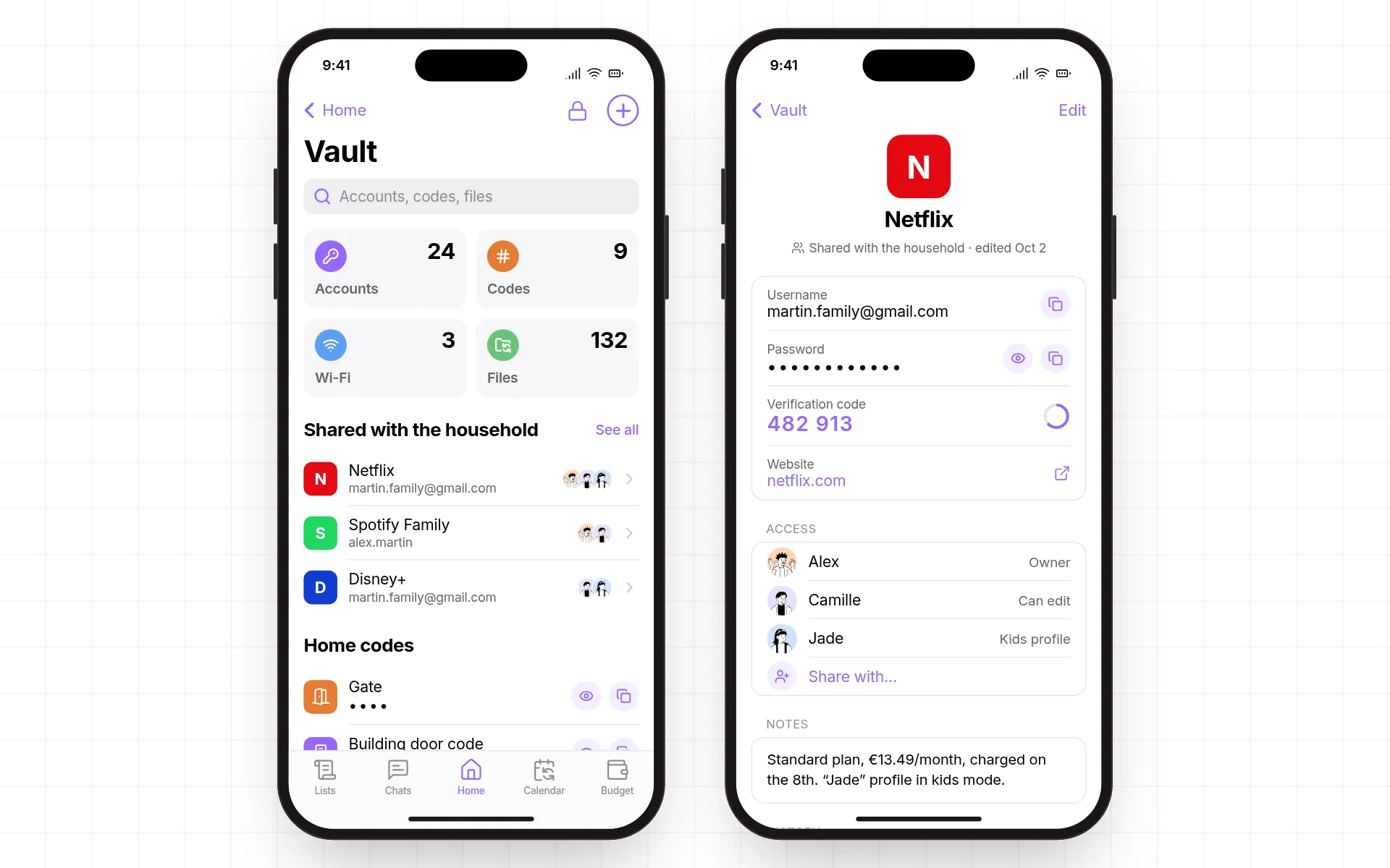 Shared vault with streaming accounts, home codes and files synced with Google Drive, and a shared Netflix login
